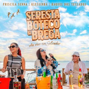 Seresta, Boteco & Brega album cover