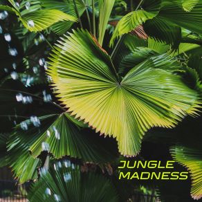 Jungle Madness album cover