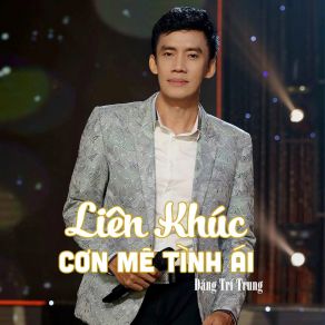 Liên Khúc Cơn Mê Tình Ái # 1 album cover