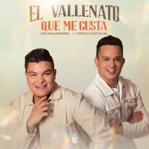 El Vallenato Que Me Gusta album cover