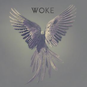 Woke album cover