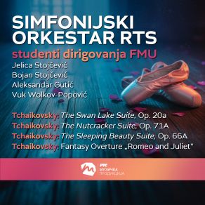 Tchaikovsky - Studenti Dirigovanja FMU (Live) album cover