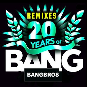 20 Years Of Bang (Remixes) album cover