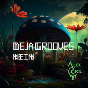 Deja Grooves album cover