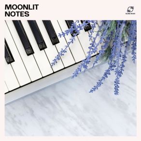 Moonlit Notes: Calm Piano Instrumentals album cover