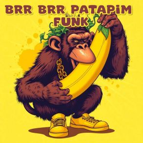 Brr Brr Patapim Funk album cover