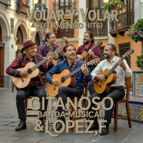 Volar Y Volar (Flamenco Hits) album cover