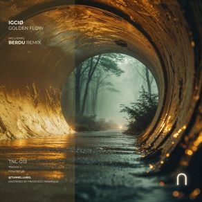 Golden Flow album cover