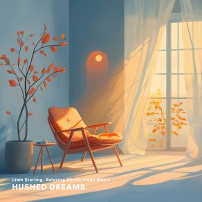 Hushed Dreams album cover
