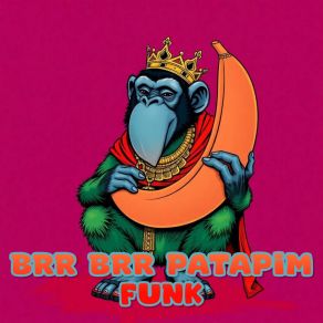 Brr Brr Patapim Funk album cover