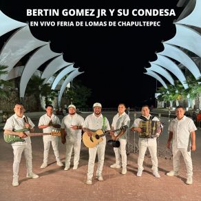 En Vivo Feria De Lomas De Chapultepec album cover