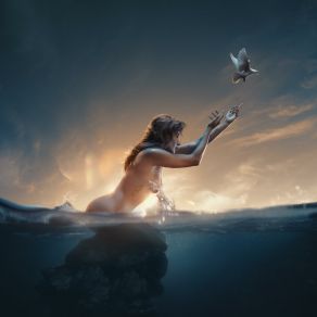 VOLAR album cover