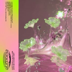 Zane Ziba album cover