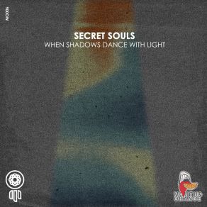 When Shadows Dance With The Light album cover