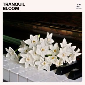 Tranquil Bloom: Piano Reading Music album cover