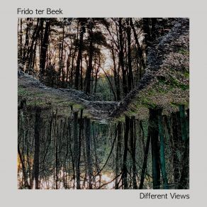 Different Views album cover
