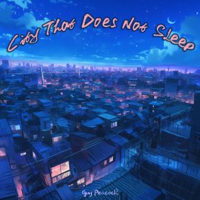 City That Does Not Sle album cover
