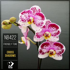 Cross Shadows (Original Mix) album cover
