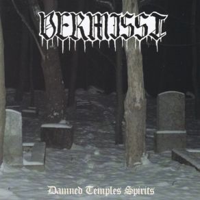 Damned Temples Spirits album cover