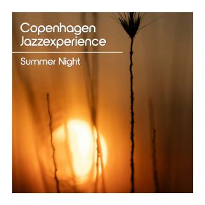 Summer Night album cover