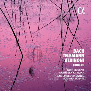 J. S. Bach, Telemann & Albinoni: Concerti album cover