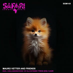 Mauro Vetter And Friends (Original Mix) album cover