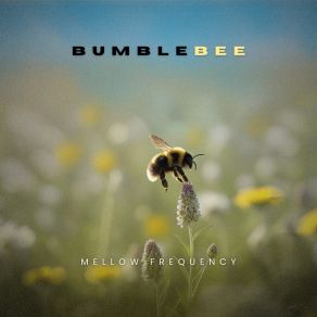 Bumblebee album cover