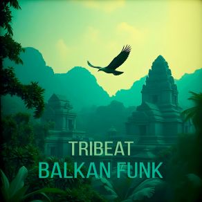 Balkan Funk album cover