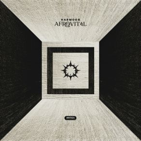 AFROVIT4L album cover