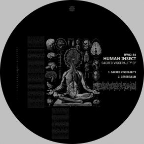 Sacred Viscerality album cover