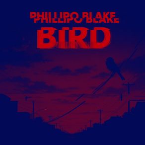 Bird (Electronica Phonk Mix) album cover