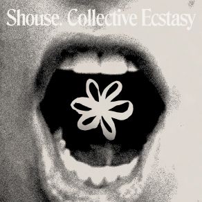 Collective Ecstasy album cover