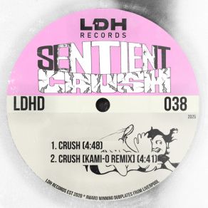 Crush album cover