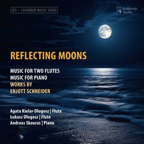 Reflecting Moons album cover
