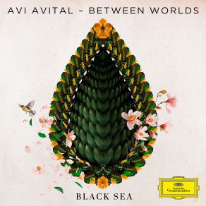 Black Sea album cover