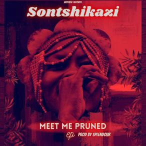 Meet Me Pruned (OZONE M SESSIONS) album cover