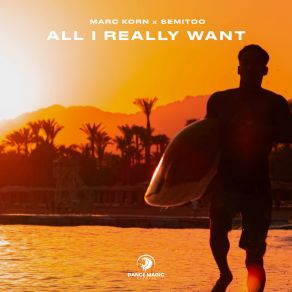 All I Really Want album cover