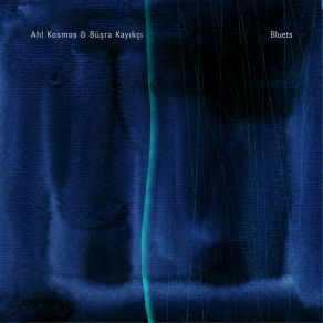 Bluets album cover