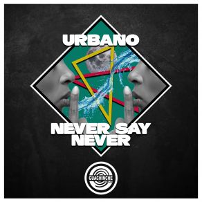 Never Say Never (Single) album cover