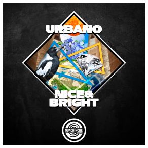 Nice & Bright (Single) album cover