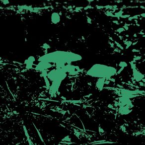 Songs In The Language Of Mushrooms album cover