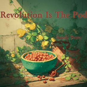 Revolution Is The Pod album cover