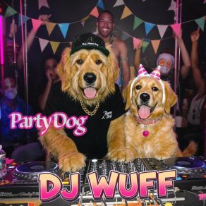 Party Dog album cover