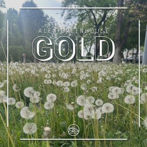 Gold album cover