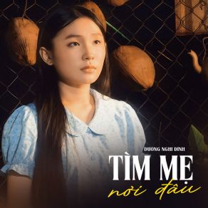 Tìm Mẹ Nơi Đâu album cover