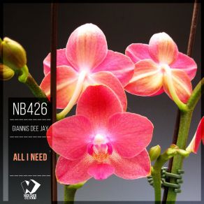 All I Need (Original Mix) album cover
