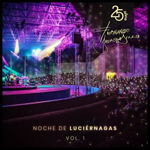 Noche De Luciérnagas, Vol. 1 (25 Años) (En Vivo) album cover