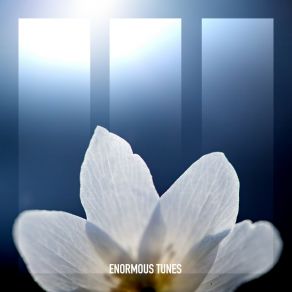 Persistence album cover