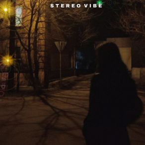 STEREO VIBE album cover