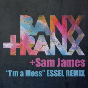 I'm A Mess (ESSEL REMIX) album cover